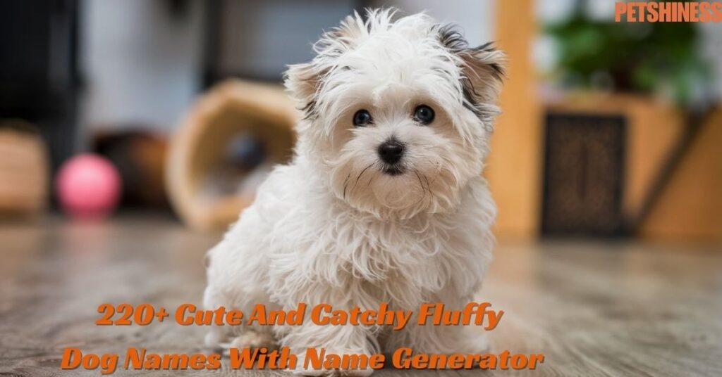 Food-Inspired Fluffy Dog Names