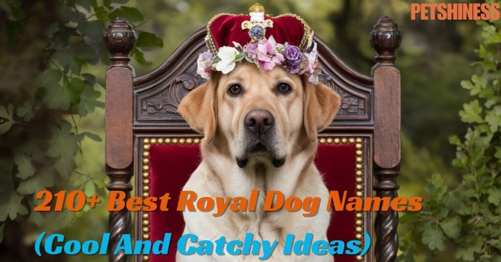 Food-Inspired Royal Dog Names