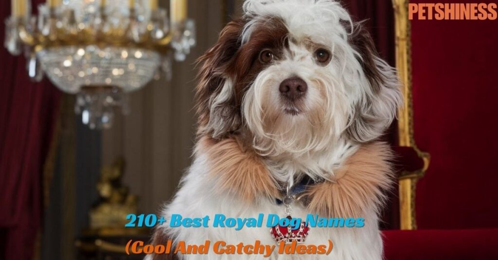 Cool Royal Dog Names