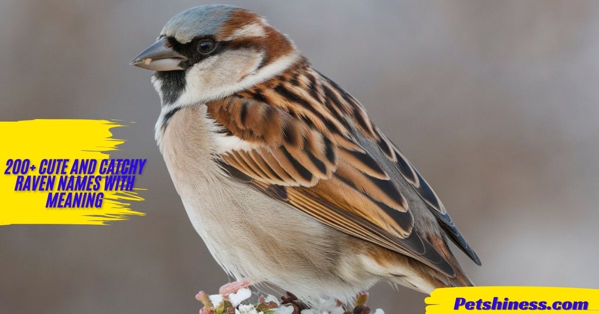 200+ Cute And Catchy Sparrow Names With Meaning