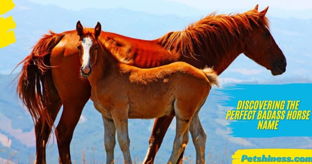 Unique Red Horse Names