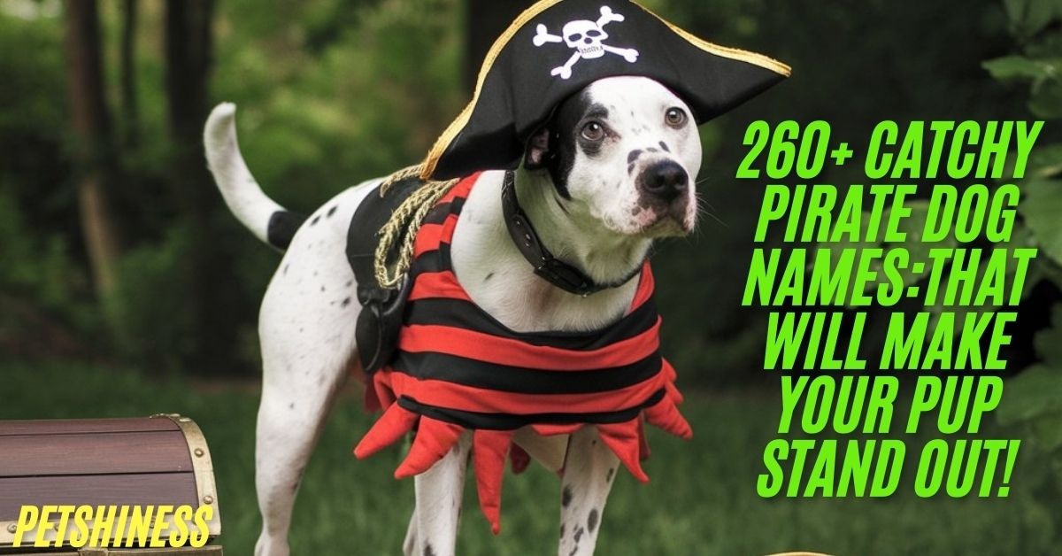 260+ Catchy Pirate Dog Names:That Will Make Your Pup Stand Out!