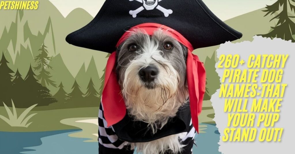 Male Pirate Dog Names