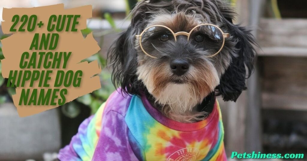 Food-Inspired Hippie Dog Names