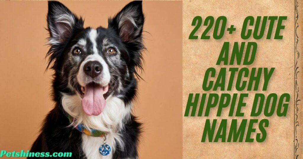 Male Hippie Dog Names