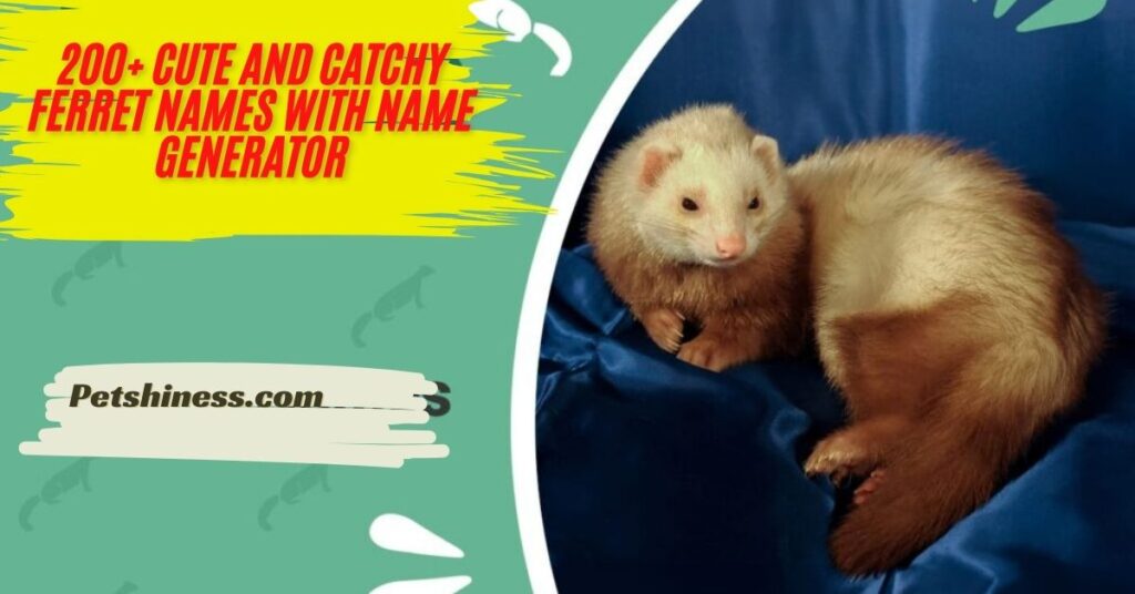 Funny Ferret Names