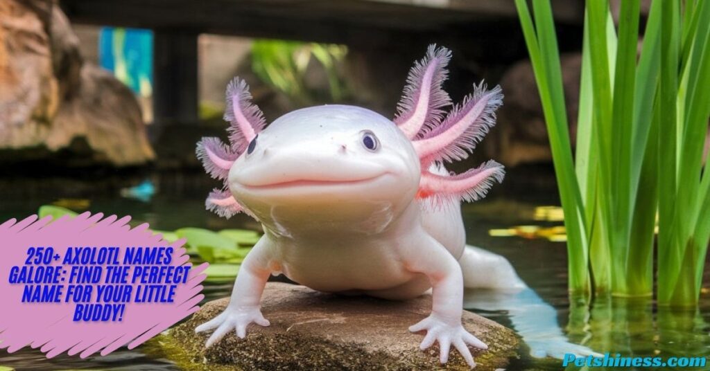 Axolotl Female Names