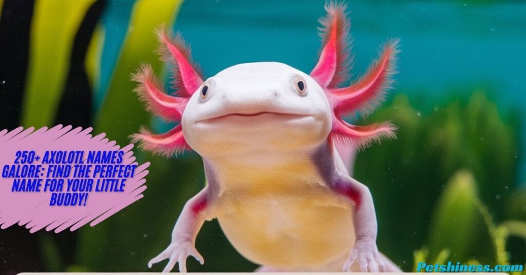 Cool Names for Axolotls