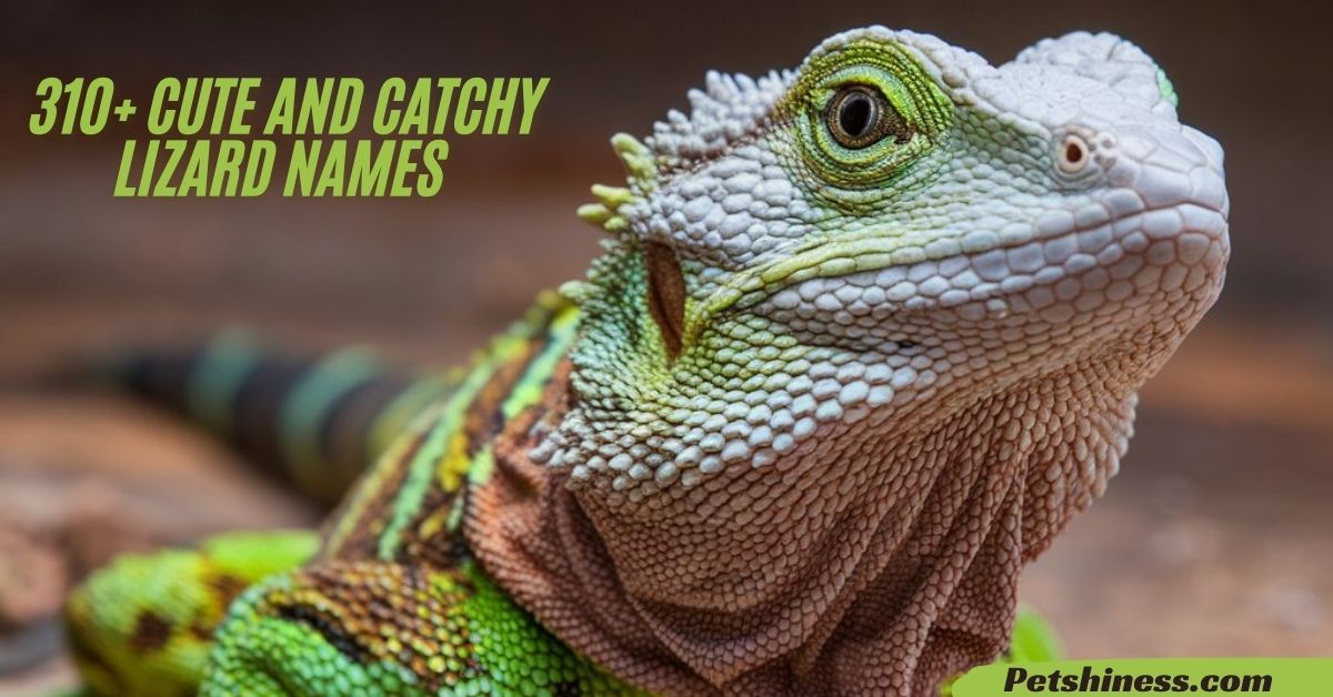 310+ Cute And Catchy Lizard Names With Name Generator 