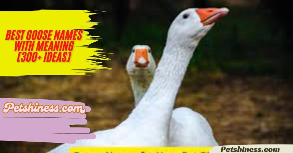 Famous Goose Names