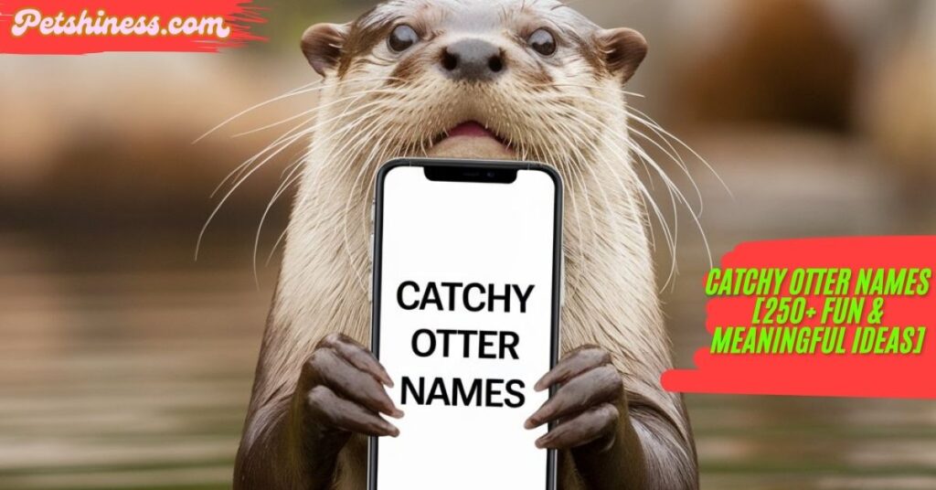 Funny Otter Names