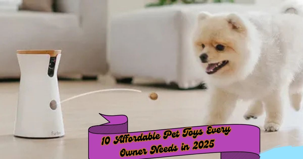 10 Affordable Pet Toys Every Owner Needs in 2025