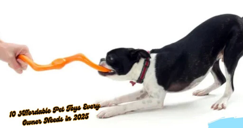 8. Affordable Dog Toys Made in the USA