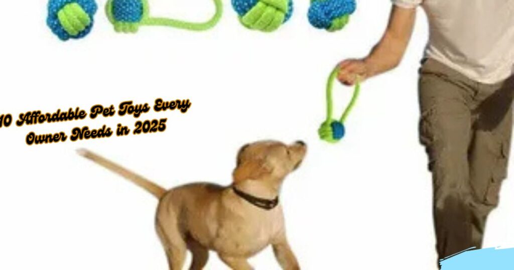 10. Trends in Dog Toys for 2025