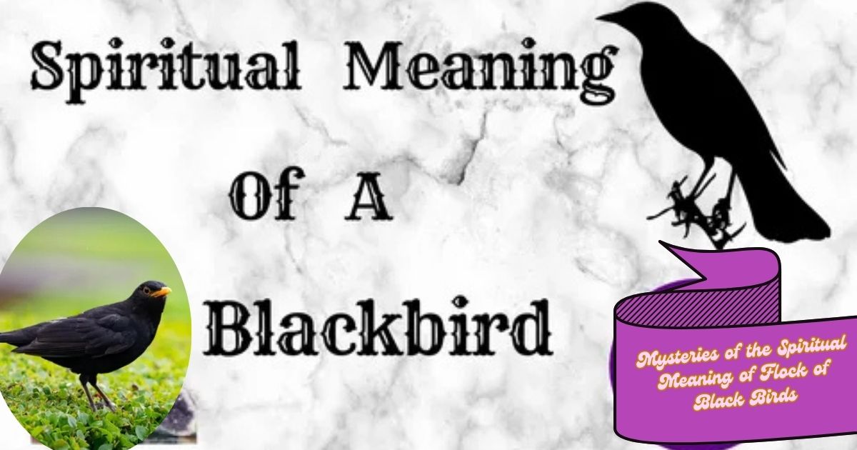 Mysteries of the Spiritual Meaning of Flock of Black Birds