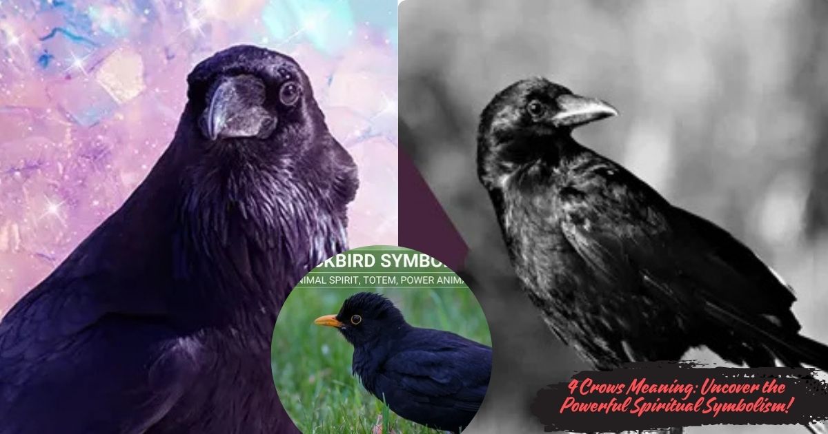 4 Crows Meaning: Uncover the Powerful Spiritual Symbolism!