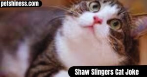 Shaw Slingers Cat Joke