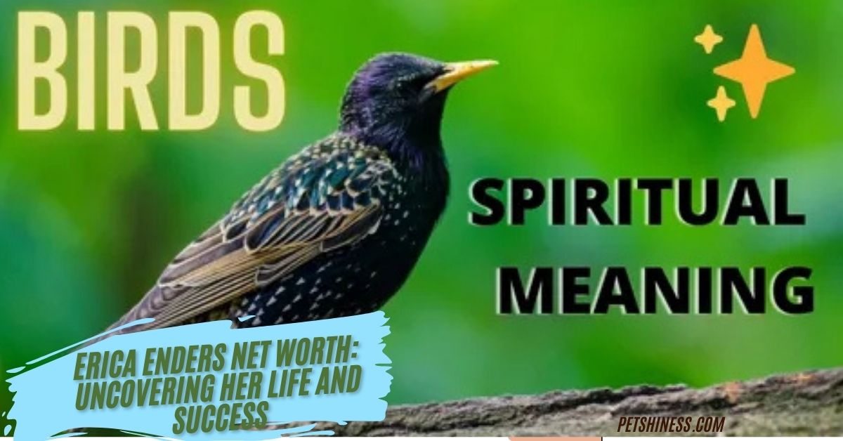 12 Spiritual Meanings of a Bird Flying into Window