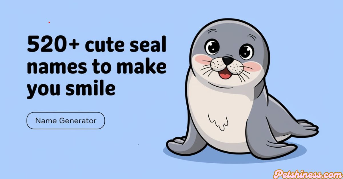 520+ Cute Seal Names to Make You Smile(+Name Generator)