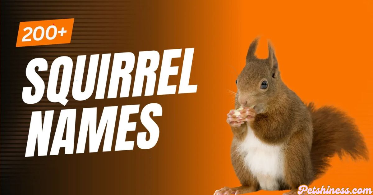 200+ Perfect Squirrel Names That Are Cute and Creative!