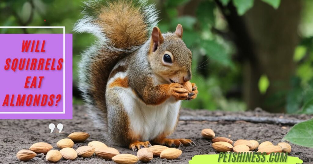 Almond-Eating Mammals