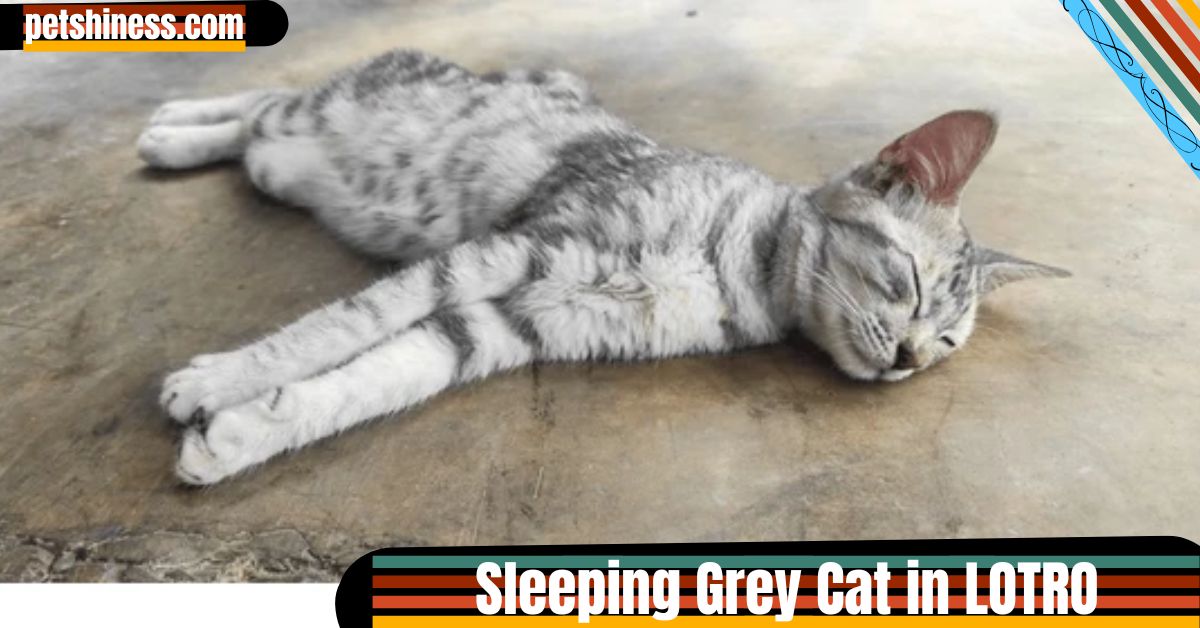 Sleeping Grey Cat in LOTRO